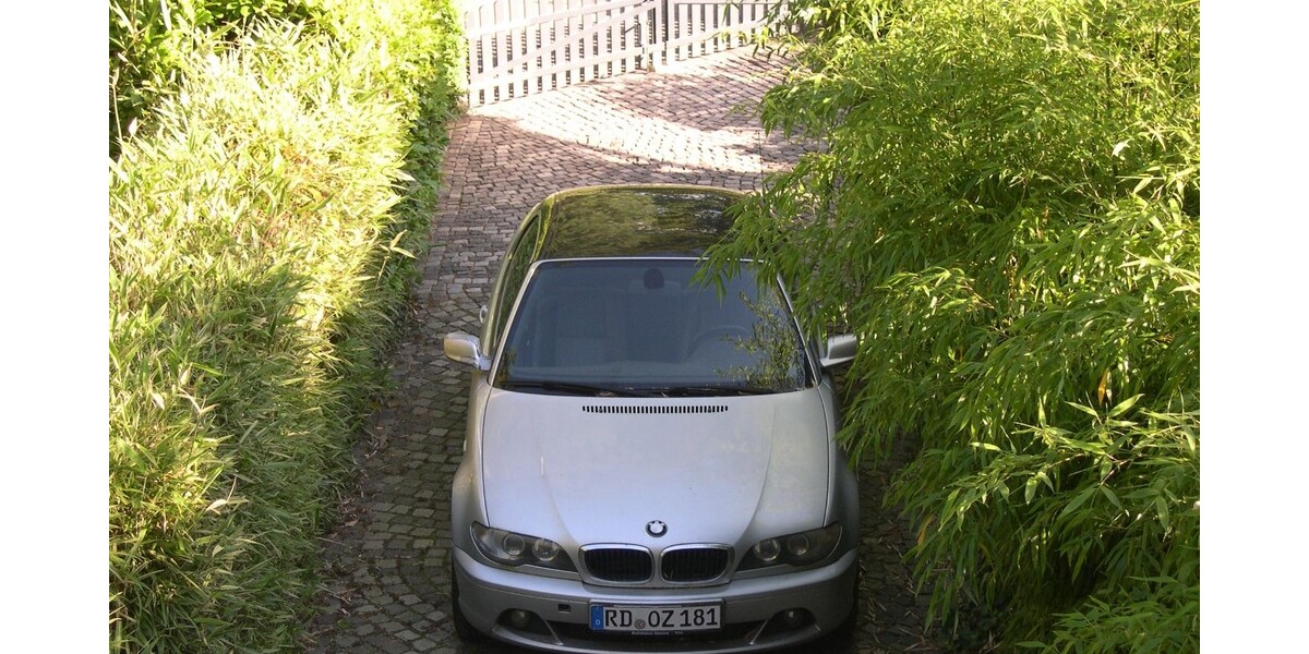 BMW 318 210.000 km 3.500 &euro; Altenholz 24161