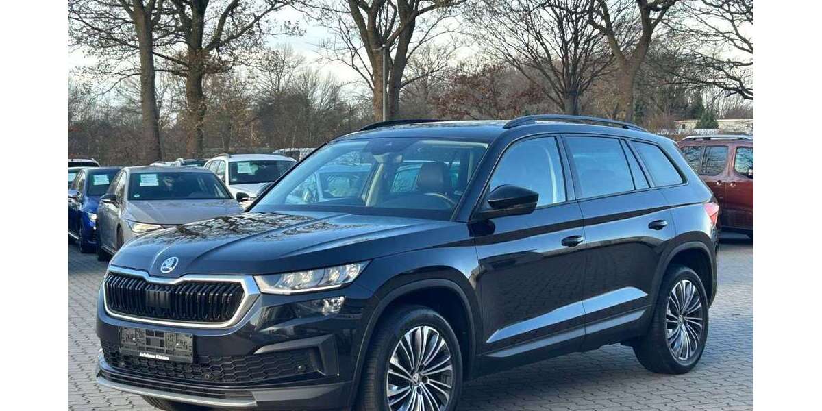 Skoda Kodiaq 76.950 km 24.980 &euro; Neumünster 24537