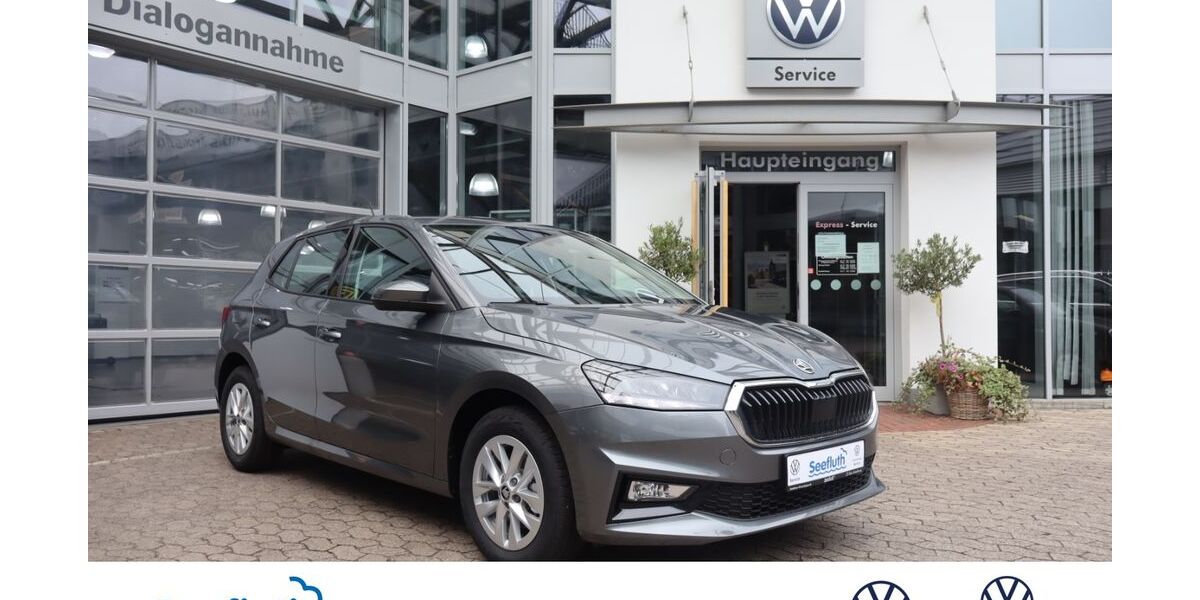 Skoda Fabia 5.000 km 22.580 &euro; Kiel-Kronshagen 24119