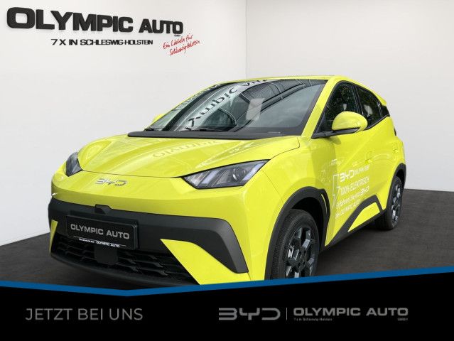 BYD DOLPHIN 3.000 km 22.430 &euro; Schwentinental 24223