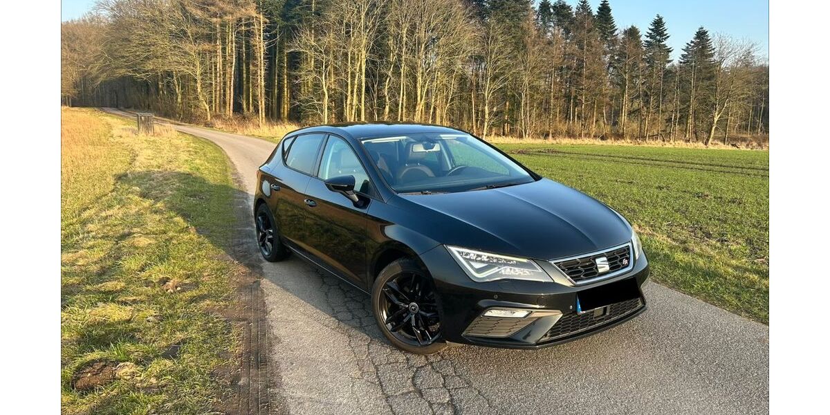 Seat Leon 143.000 km 11.399 &euro; Bredenbek 24796