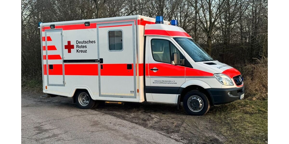 Mercedes-Benz Sprinter 252.230 km 9.999 &euro; BORDESHOLM 24582