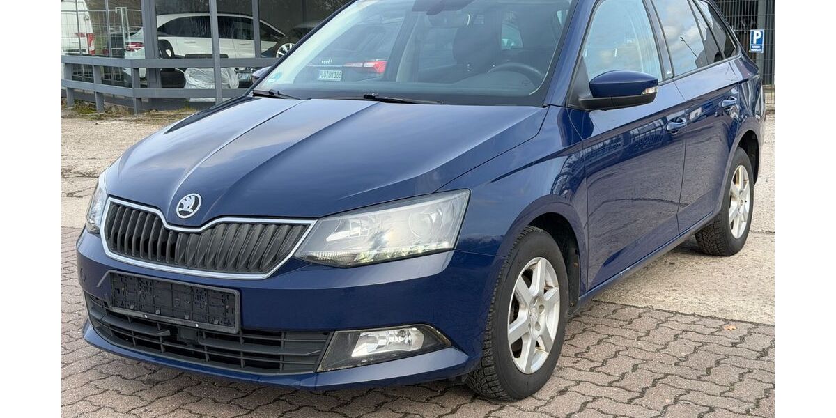 Skoda Fabia 266.000 km 4.500 &euro; BLUMENTHAL 24241