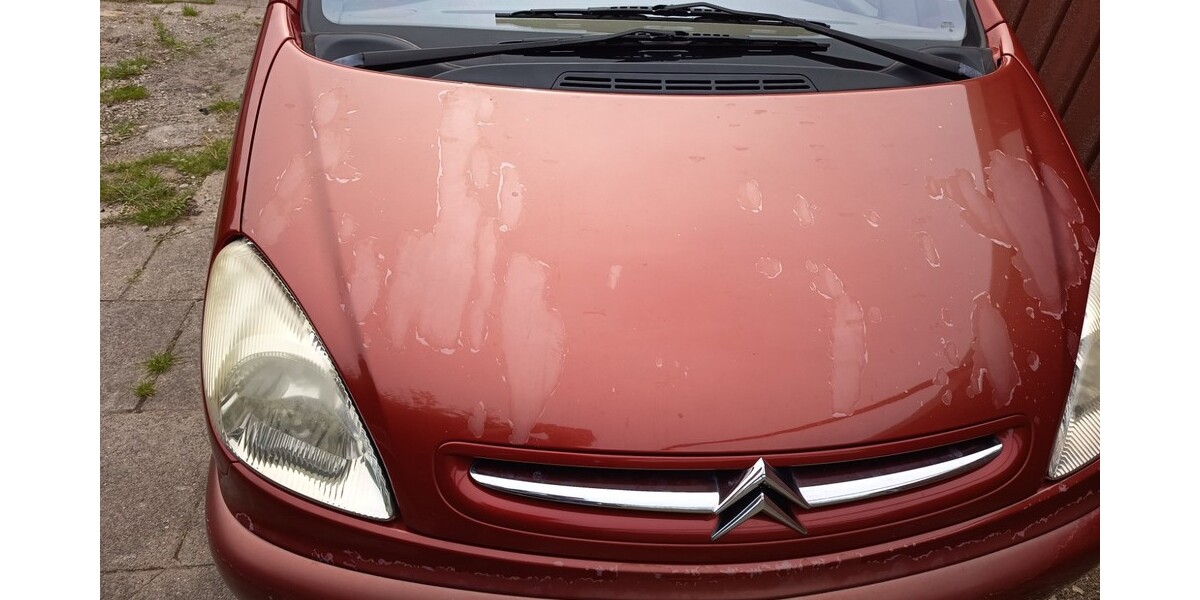 Citroen Xsara Picasso 165.865 km 1.500 &euro; Kronshagen 24119