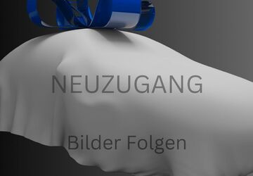 VW Beetle 208.037 km 2.450 &euro; Neumünster 24536