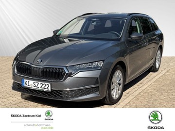 Gebrauchte Skoda Octavia