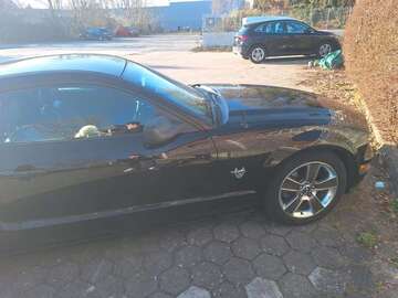 Gebrauchte Ford Mustang
