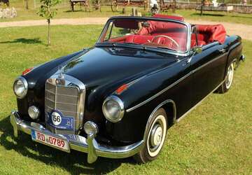 Mercedes-Benz 220 66.000 km 98.000 &euro; Emkendorf 24802