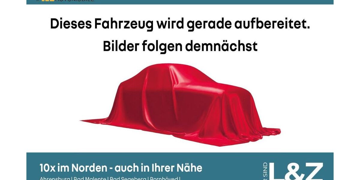 Renault Megane E-TECH 29.000 km 21.980 &euro; Bornhöved 24619